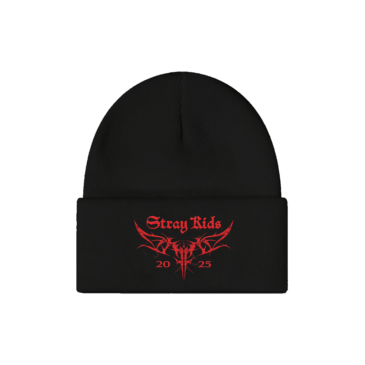 dominATE TOUR BLACK BEANIE