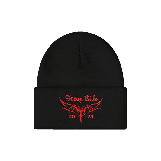 dominATE TOUR BLACK BEANIE